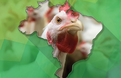 Brazil Map Chicken
