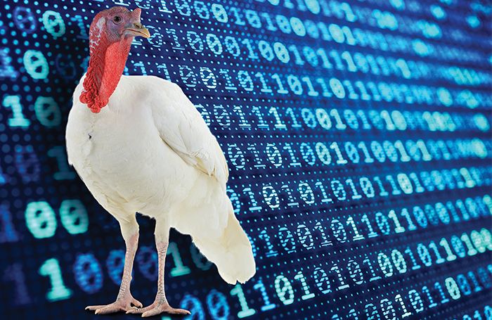 8 digital technologies to disrupt the turkey industry | WATTAgNet ...