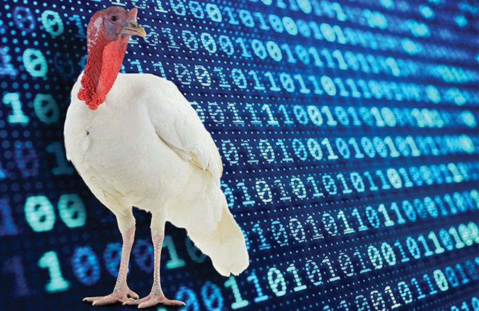 Computerized Turkey 8 digital technologies to disrupt the turkey industry | WATTAgNet ...