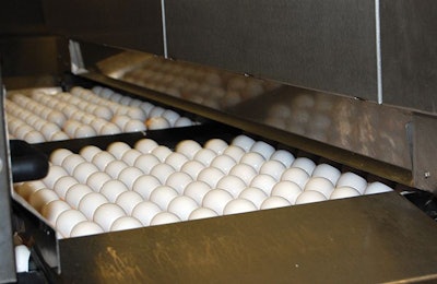 New techniques for reducing the amount of bacteria on the shell or inside the egg would reduce the risk of foodborne illness associated with consumption of eggs. (Terrence O'Keefe)