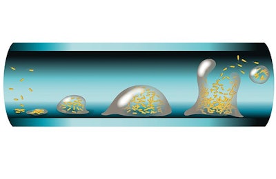 As biofilm on the water's surface grows, it may disperse and pose a risk to flock health and damaging drinking water equipment. (Courtesy of Trouw Nutrition)