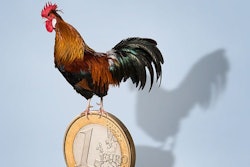 Europe’s poultry companies continue to invest and grow, focusing both on home and overseas markets. (D-Keine | iStock.com)