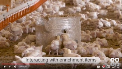 The Co-op, 2 Sisters Food Group, Bristol Veterinary School and FAI Farms collaborated to create a video that teaches broiler welfare to beginning farmers. (Screenshot from YouTube)