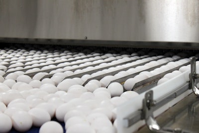 The top 20 U.S. egg companies for 2020 account for 254.55 million laying hens. (igor stevanovic | Bigstock.com)