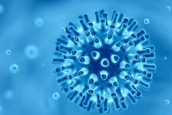 (JuSun | iStock.com)