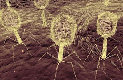 While long-known about, there is renewed interest in bacteriophages as use of antibiotics becomes more restricted. Auntspray | Bigstock.com