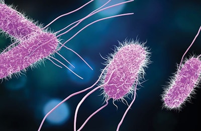 A variety of Salmonella serotypes present at feed mills and on poultry farms present a risk to feed and food safety. urfin | Shutterstock.com