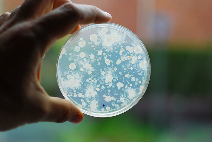 Nonstick coating keeps pathogens away from meat packaging | WATTAgNet ...