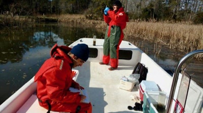 Miguel Semedo and Kenneth Czalpa of William & Mary’s Virginia Institute of Marine Science collect water samples from a tidal creek on Virginia’s eastern shore as part of a study that examines poultry wastewater’s impact on nearby bodies of water. (S. Fate | VIMS ESL)