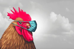 (Lightpring | Shutterstock.com)