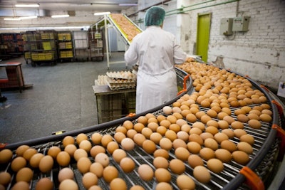 U.S. egg producers shouldn’t expect the surge in demand for shell eggs to last. (nikkytok | Fotolia.com)