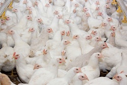 Kharkhan_Oleg | iStockPhoto.com