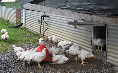 In 2020, Perdue Farms achieved its goal of providing outdoor access in 25% of chicken houses (Perdue Farms).