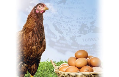 Europe’s main poultry meat and egg producers tend to draw significant income outside their home markets. aluxum | iStock.com