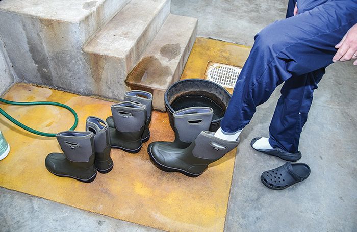 Biosecurity store boot covers