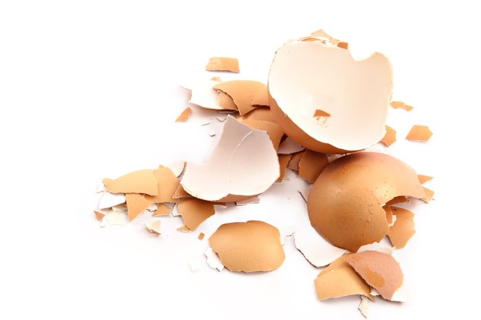 Study: Eggshell membrane supplement eases arthritis symptoms ...