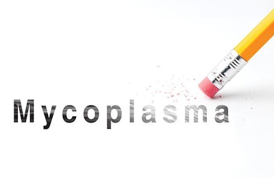 With careful planning and management, Mycoplasma does not have to be a problem in broiler production. | WATT Global Media