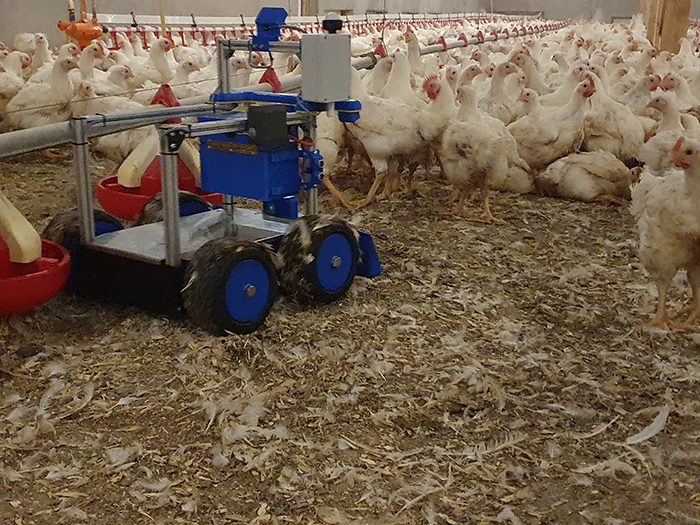 How robots could help optimize broiler production | WATTAgNet ...