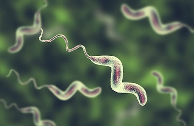 Campylobacter is a leading cause of foodborne illness and researcher shows it to be present in retail poultry. (Tyrannosaurus | BigStockPhoto.com)