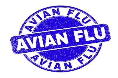 Avian Flu Logo