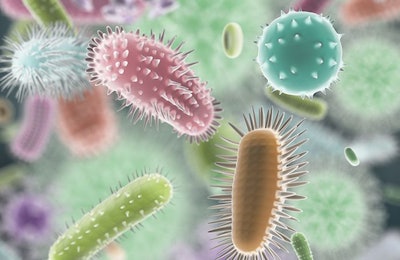 Cooperation amongst its members can benefit both the microbiome and the host. (BeholdingEye | iStockphoto.com)