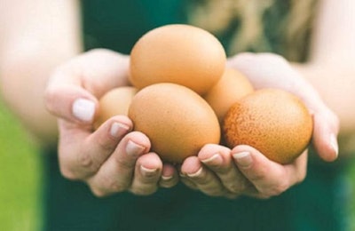Good welfare credentials can result in consumers attributing additional positive characteristics to eggs, to the benefit of producers. (Courtesy Nestle)