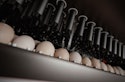 Embrex Precision 0021