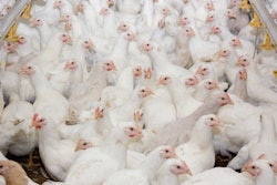 Birds need to sleep and rest in sustained dark periods for the best health and welfare. (Kharkhan_Oleg | iStock.com)