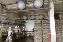 The delivery of too many broilers to the processing plant can lead to operational issues but also increase the number of dead on arrivals. | (Photo by Eduardo Cervantes López)