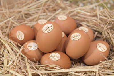 CP Foods is responding to growing consumer and corporate demand for cage-free eggs. | (CP Foods)