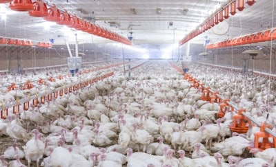 The poultry industry should not be attempting to simply reduce antibiotic use further but should be focused on wise and prudent use of antibiotics. (Courtesy Big Dutchman)