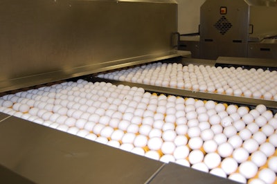 The White county Egg Farm's hens will be depopulated, but the egg packing facility may continue to be used.