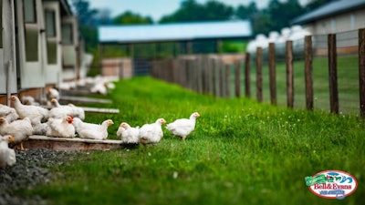 In 2020, 6.56 million pounds of ready-to-cook (RTC) organic chicken was produced on a weekly basis. (Courtesy Bell & Evans)