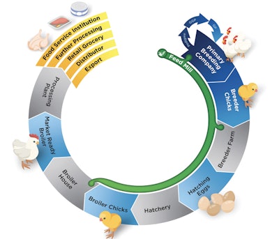 Analyzing, improving and keeping the chicken supply chain open is critical in the goal of feeding the world. | (Courtesy Aviagen)