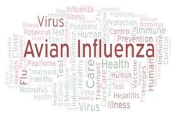 Avian Influenza word cloud, made with text only