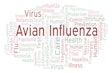 Avian Influenza word cloud, made with text only
