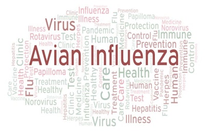 Avian Influenza word cloud, made with text only