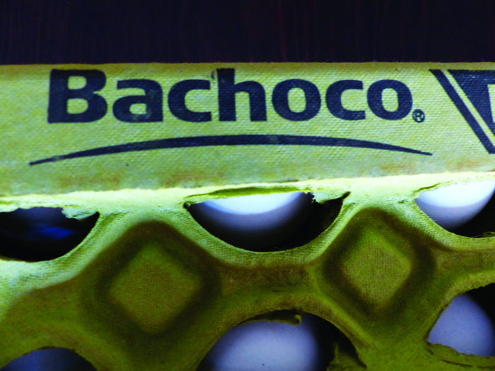 Bachoco finalizes acquisition of RYC Alimentos | WATTPoultry.com