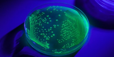 Microbiologics Uv Bio Tag Microbial Controls