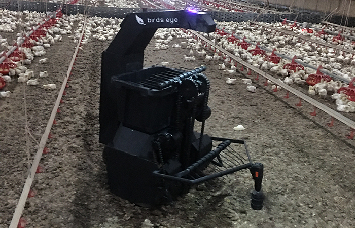 Innova invests in poultry mortality recovery robot startup ...