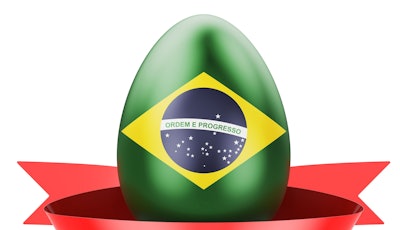 Easter egg with Brazilian flag. Happy Easter in Brazil concept, 3D rendering isolated on white background
