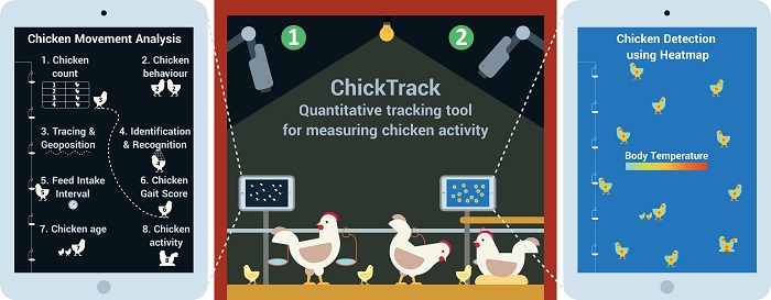 New AI monitoring system offers promise to poultry sector | WATTPoultry.com