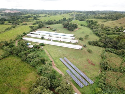 This farm in Panama is now satisfying all of its energy requirements via solar panels. (Courtesy REA Solar)