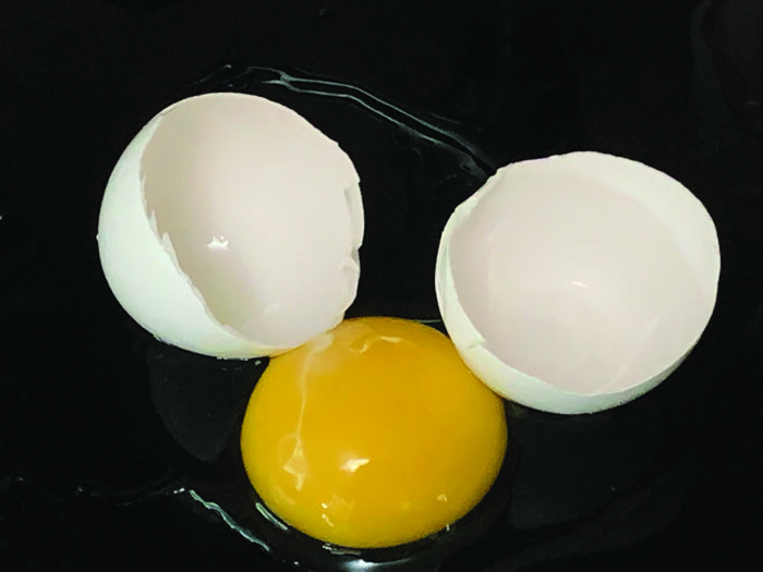 Eggs: Often imitated, never equaled | WATTPoultry.com