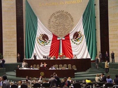The Mexican legislature is considering animal welfare legislation, but there are fears that neither the needs of poultry nor the poultry industry have been properly taken into account. (Benjamín Ruiz)