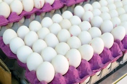 New tray design reduces egg breakage in Brazil's demanding conditions