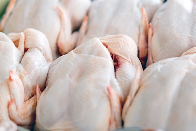 Raw butchered chicken in queue meat chicken