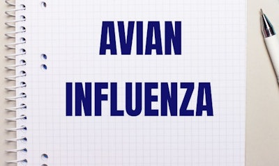 On a light gray background, a light blue disposable face mask, a stethoscope, an electronic thermometer, pills, a pen and a notebook with the inscription AVIAN INFLUENZA. Medical concept