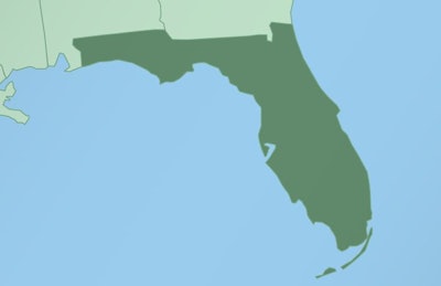 Computer monitor with map of Florida in browser, search for the country of Florida on the web mapping program. Vector template.