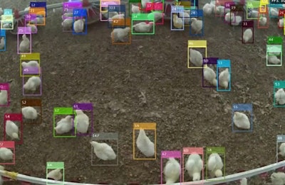 This image shows Niamh O’Connell’s FlockFocus project automatically tracking the movement of individual broilers in the house. (Courtesy Queen’s University Belfast)